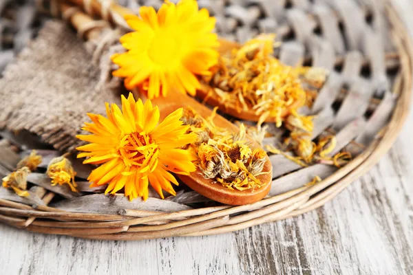 Flores de caléndula frescas y secas sobre fondo de madera — Foto de Stock