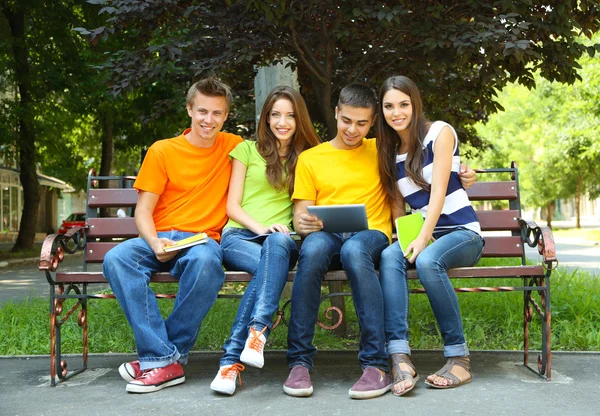 Gelukkig groep van jonge studenten zitten in park — Stockfoto