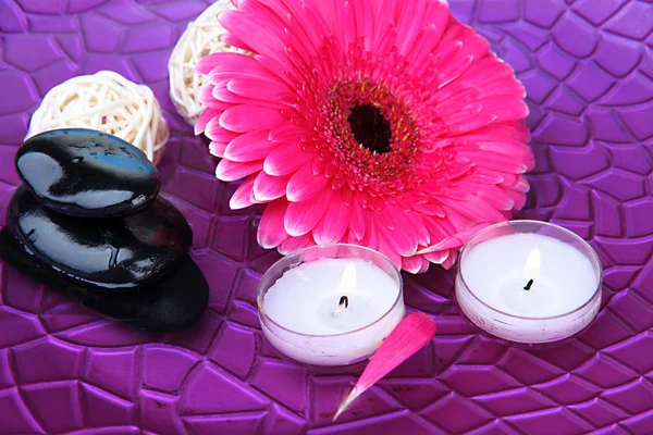 Piedras de spa, hermosa gerbera y velas en el agua — Foto de Stock