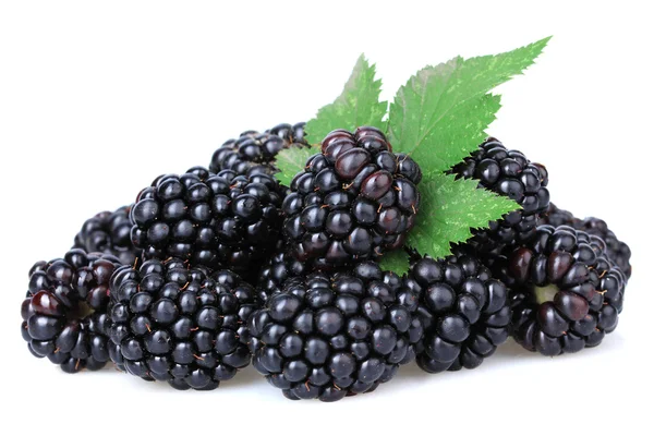 Süße Brombeeren isolieren sich auf weiß — Stockfoto