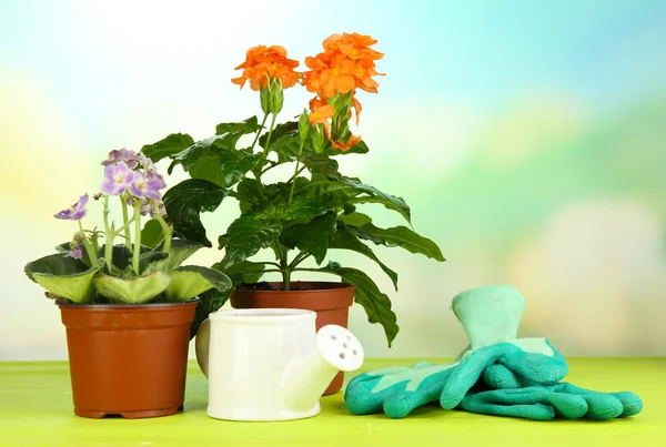 Tencere doğal zemin üzerine ahşap masa üzerine güzel çiçekler