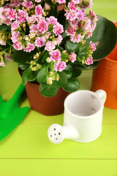 Schöne Blumen in Töpfen auf Holztisch in Großaufnahme — Stockfoto