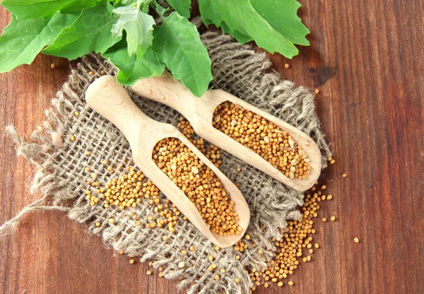 Mustard seeds with mustard leaves on wooden background — Stock Photo, Image