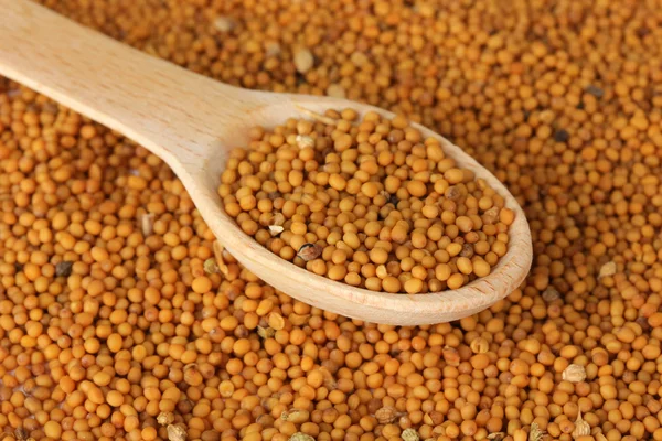 Mustard seeds, close up — Stock Photo, Image