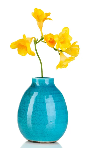 Beau bouquet de freesia en vase bleu isolé sur blanc — Photo