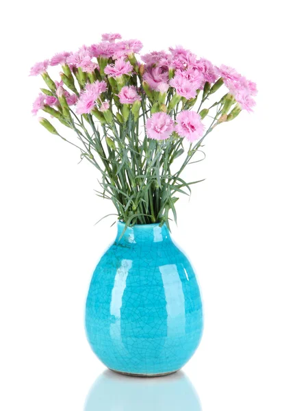 Beaucoup de petites clous de girofle roses dans un vase bleu isolé sur blanc — Photo