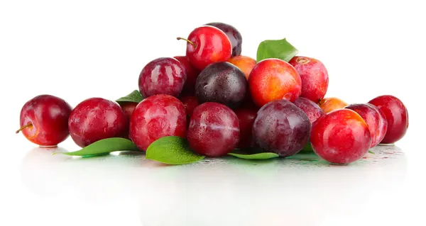 Ripe plums isolated on white — Stock Photo, Image