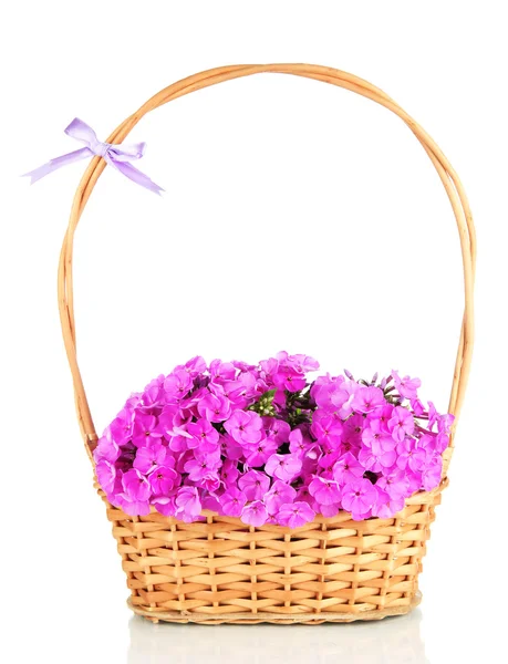 Beautiful bouquet of phlox in wicker basket isolated on white — Stock Photo, Image