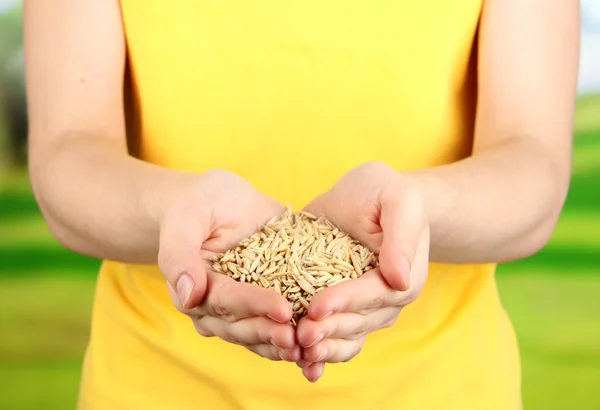 Grano de trigo en manos femeninas sobre fondo natural — Foto de Stock