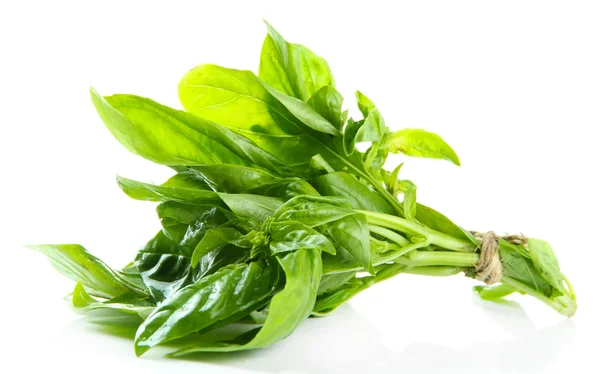 Fresh basil, isolated on white — Stock Photo, Image