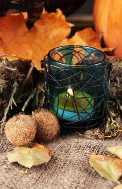 mum ve yaprakları sonbahar kompozisyonu