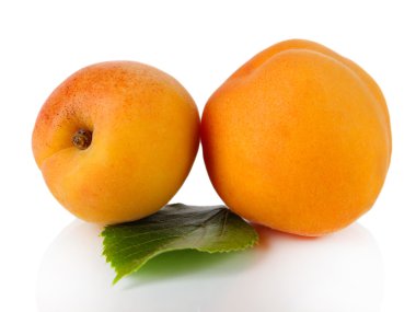 beyaz izole kayısı