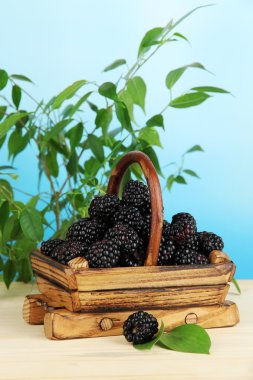 Olgun böğürtlen sepeti doğal zemin üzerine ahşap tablo