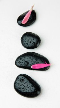 Spa taşlar ve pembe yaprakları üzerinde beyaz izole