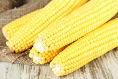 ahşap masa üstünde çul üzerinde ham Mısır