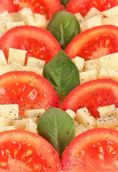 Mozzarella de queso con verduras en el plato de cerca — Foto de Stock