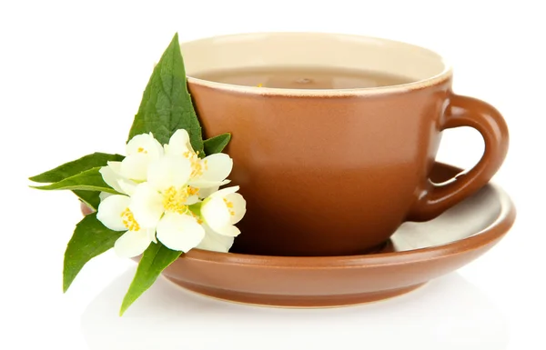 Cup of tea with jasmine, isolated on white — Stock Photo, Image