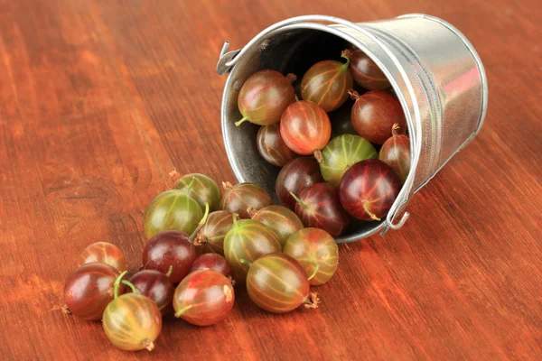 Fresh gooseberries in bucket on table close-up — Stock Photo, Image