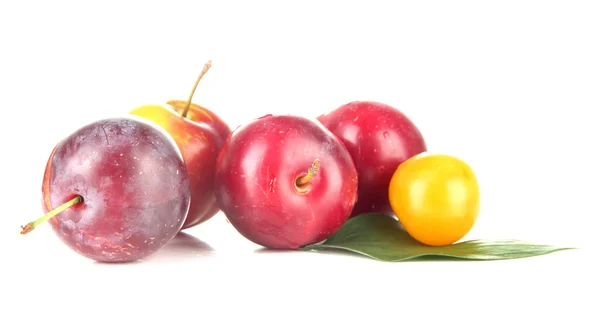 Ripe plums isolated on white — Stock Photo, Image