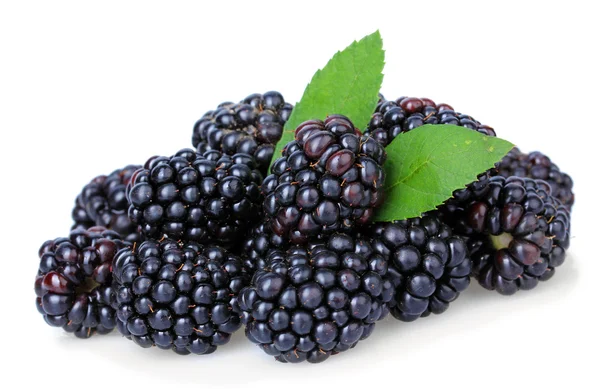 Sweet blackberries isolate on white — Stock Photo, Image