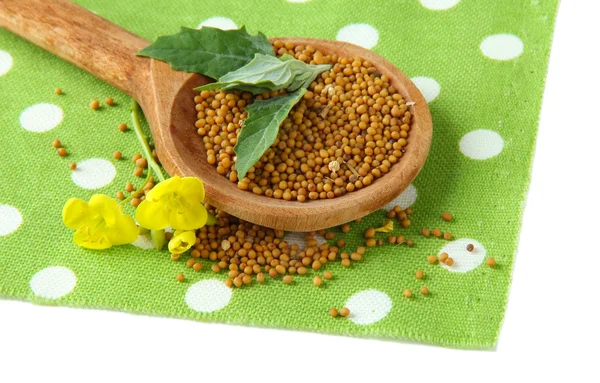 Mustard seeds in wooden spoon with mustard flower isolated on white — Stock Photo, Image