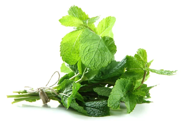 Fresh mint, isolated on white — Stock Photo, Image