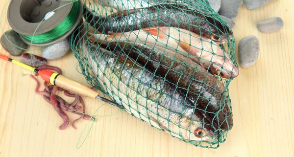 Fishes in fishing net on wooden background — Stock Photo, Image