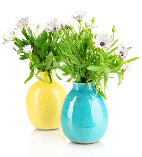 Buquê de belas flores de verão em vasos de cor, isolado em branco — Fotografia de Stock