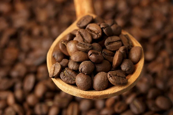 Café en grains dans une cuillère en bois, gros plan — Photo