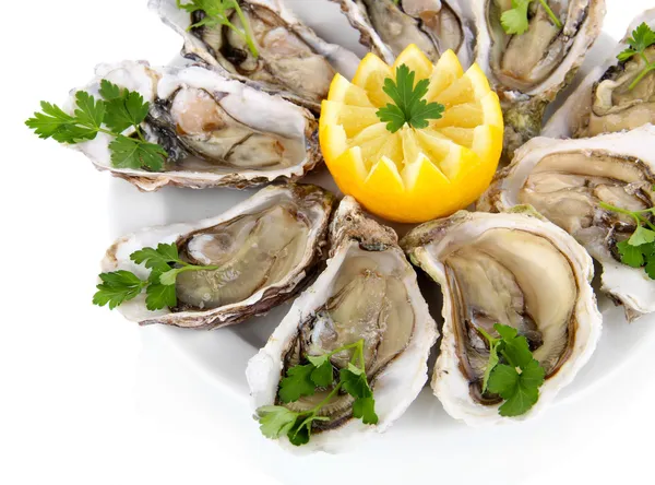 Oesters geïsoleerd op wit — Stockfoto