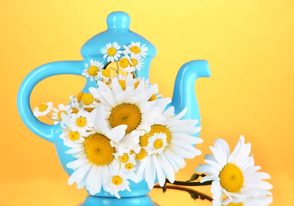 Renkli arka plan üzerinde çaydanlığın içinde güzel buket chamomiles — Stok fotoğraf