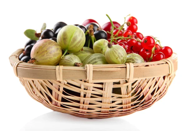 Different summer berries in basket isolated on white — Stock Photo, Image