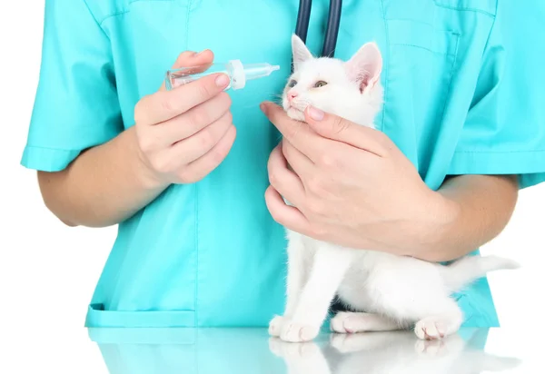 Veterinarian examining kitten isolated on white — Stock Photo, Image