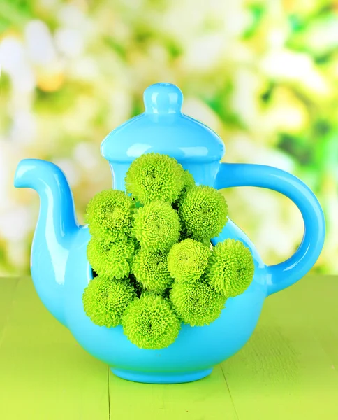 Piękny zielony chryzantema w tabeli na jasnym tle wazon czajnik — Zdjęcie stockowe