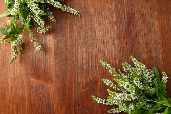 Fiori di menta fresca su sfondo di legno — Foto Stock