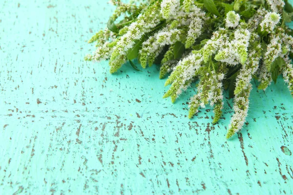 青い木製の背景に新鮮なミントの花 — ストック写真