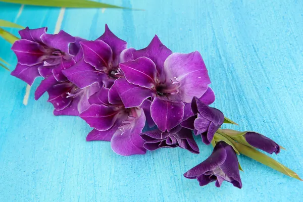 Beautiful gladiolus flower on wooden background — Stock Photo, Image