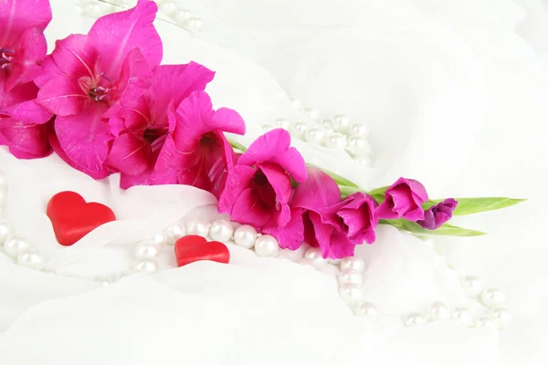 Beautiful gladiolus flower on white fabric background — Stock Photo, Image