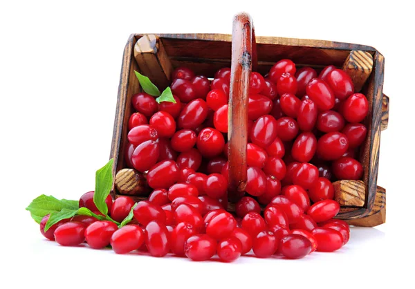Свежие кукурузные ягоды в деревянной корзине, изолированные на белом — стоковое фото