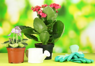 Tencere doğal zemin üzerine ahşap masa üzerine güzel çiçekler