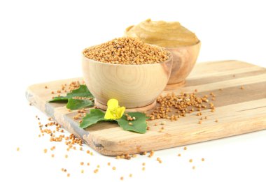 Hardal tohumu hardal çiçeği üzerinde beyaz izole ile