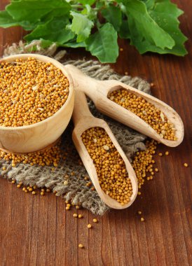 ahşap zemin üzerine hardal tohumu hardal yaprakları