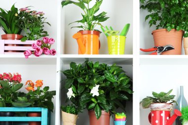 Tencere beyaz raf yakın çekim üzerine güzel çiçekler