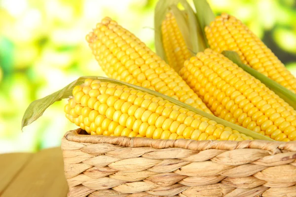 Crude corns in basket on nature background — Stock Photo, Image