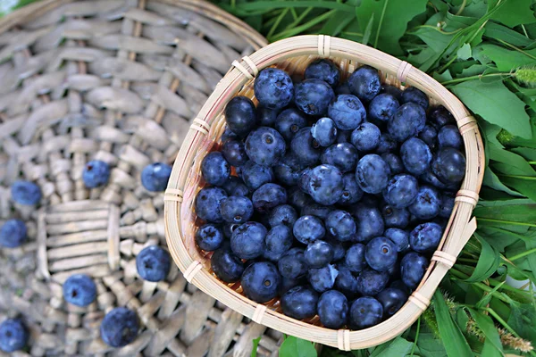 Bleuets dans un panier en bois sur plateau en osier sur herbe — Photo