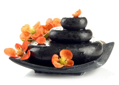 Spa stenen en bloemen geïsoleerd op wit