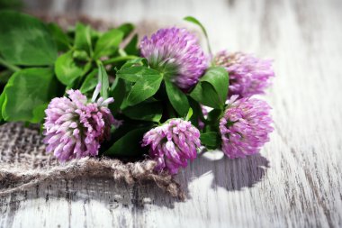 yonca çiçek yaprakları ahşap zemin ile