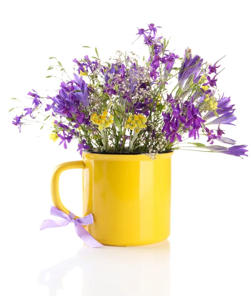 Beautiful bouquet of wildflowers in cup, isolated on white — Stock Photo, Image