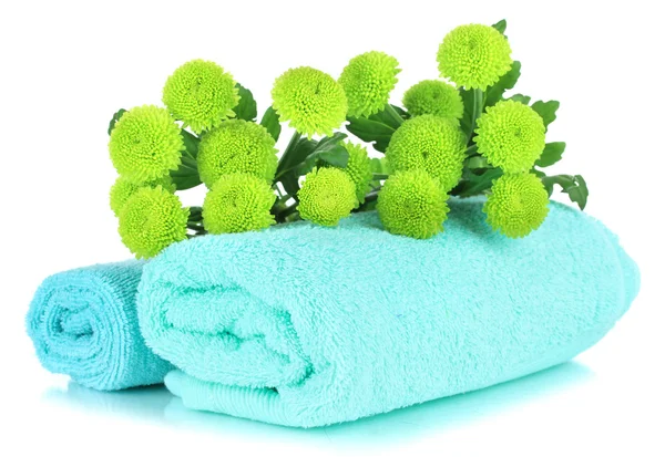 Beautiful green chrysanthemum with towel isolated on white — Stock Photo, Image