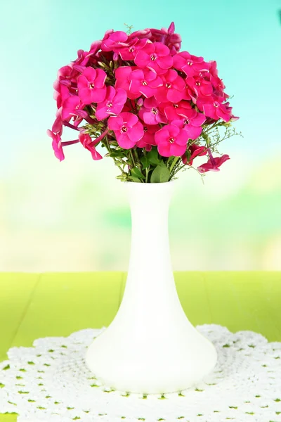 Beautiful bouquet of phlox in vase on table on light background — Stock Photo, Image